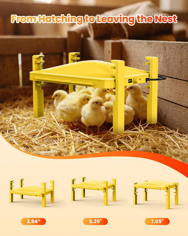 Cluzyyarda anti-roost top cover keeps coops cleaner and easier to wipe down.