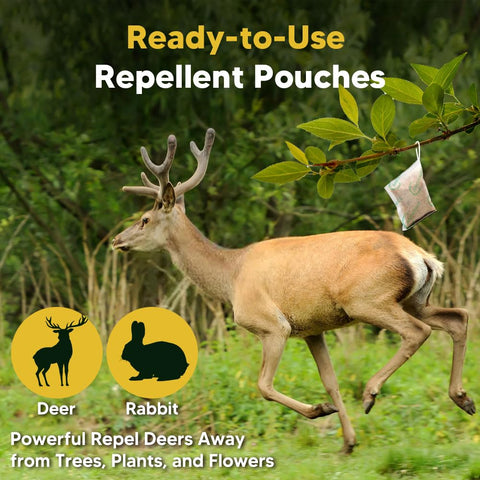 CLVDOFSS deer and rabbit deterrent placed near plants prevents browsing.
