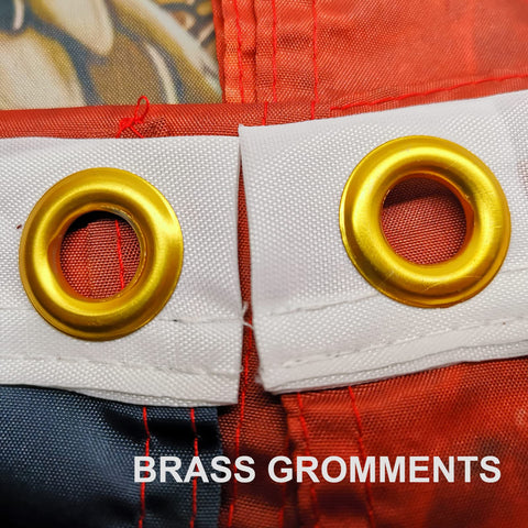 CLYTTE flag with brass grommets offers secure hanging on a pole.