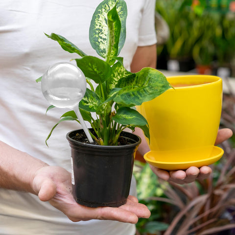 Cmaqpw durable PVC construction supports long-lasting plant care