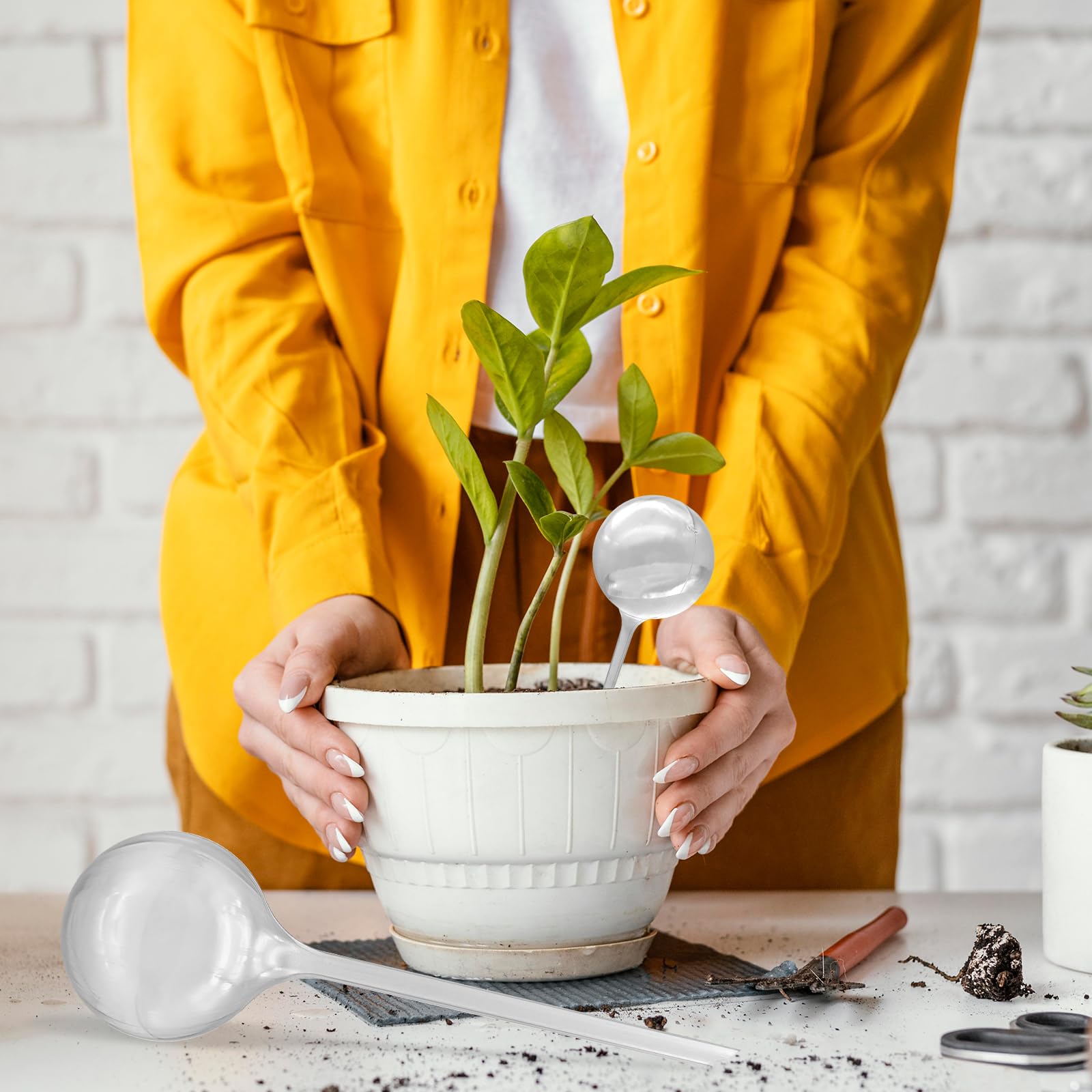 Cmaqpw globe-in-soil setup demonstrates easy insertion for hands-off care