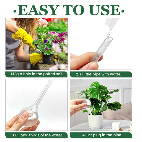 Cmaqpw small clear globes perfect for desk plants and hanging baskets