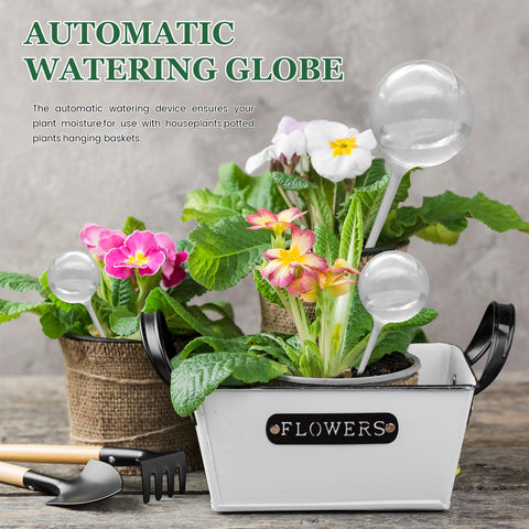 Cmaqpw versatile watering globes fit indoor and outdoor plant setups