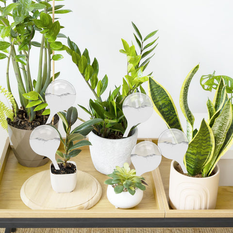 Cmaqpw self-watering bulbs promote healthier indoor plants with minimal effort.