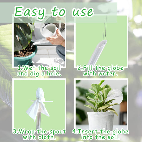 Cmaqpw bulbs in soil setup demonstrates simple self-watering for busy days.