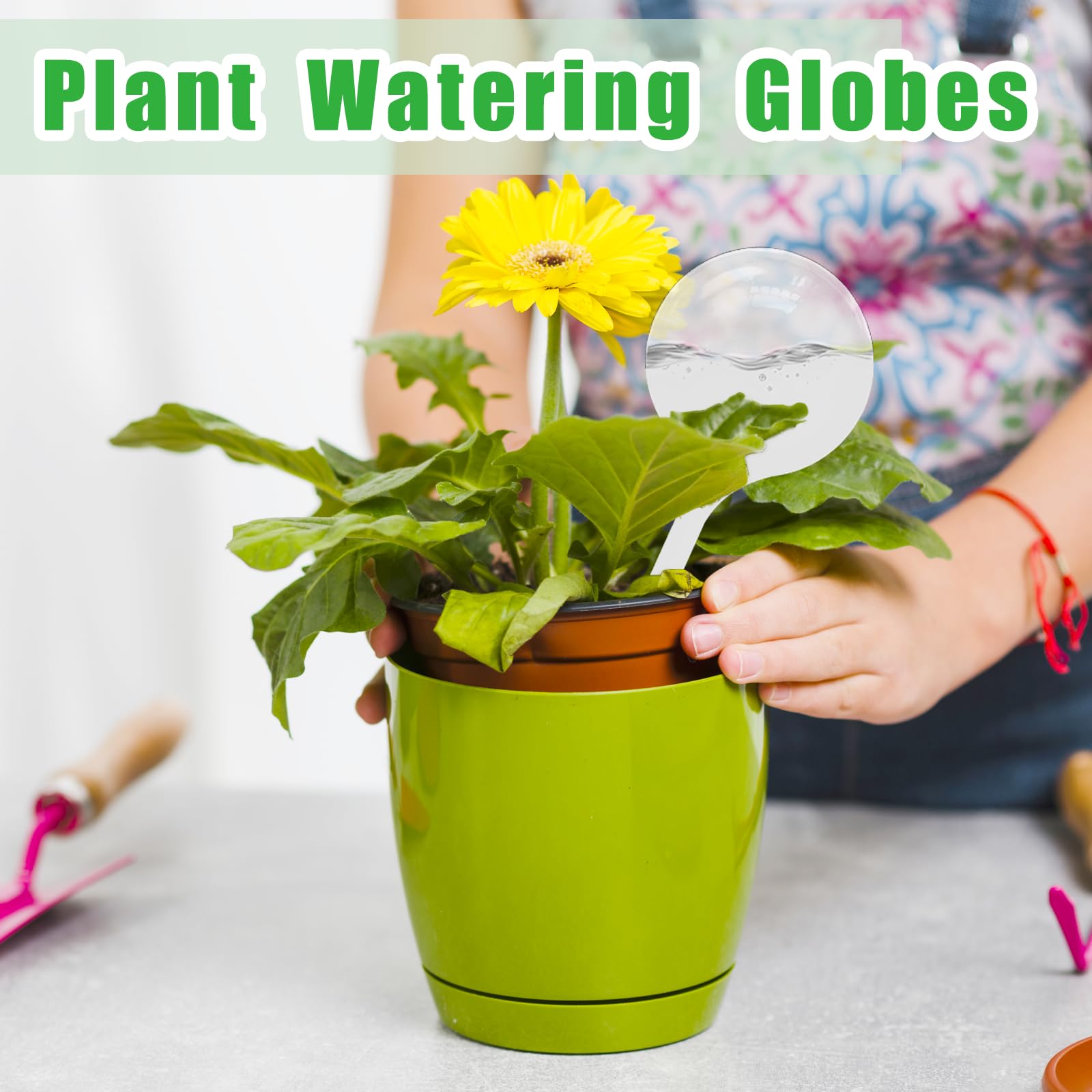 Cmaqpw bulb long-spout design enables steady, controlled watering.