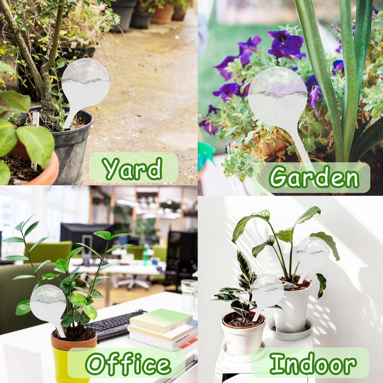 Cmaqpw 12-count pack provides ample globes for multiple pots.
