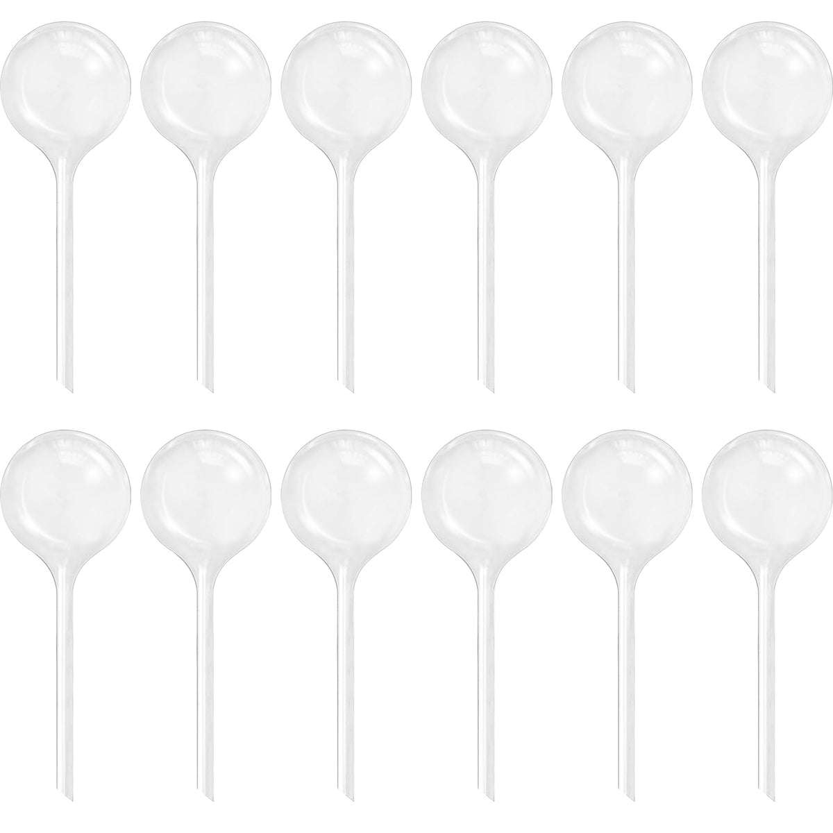 Cmaqpw water globe clear shows water level for easy plant care.