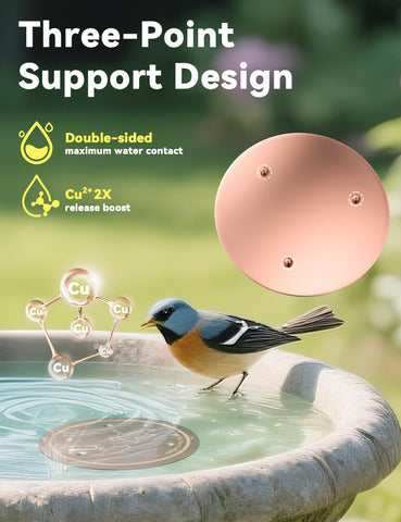 CNARIO disk placed inside a standard bird bath bowl for easy setup.