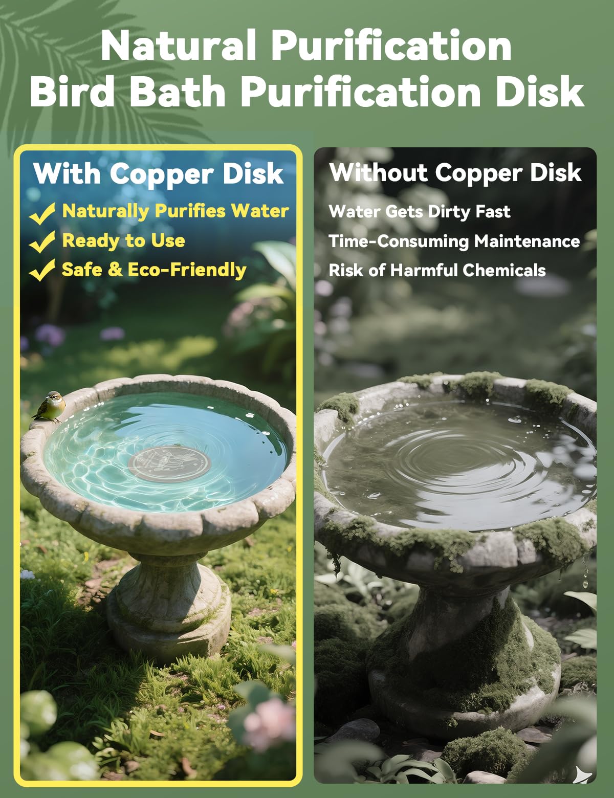CNARIO birdbath disk three-point support ensuring stable purification.