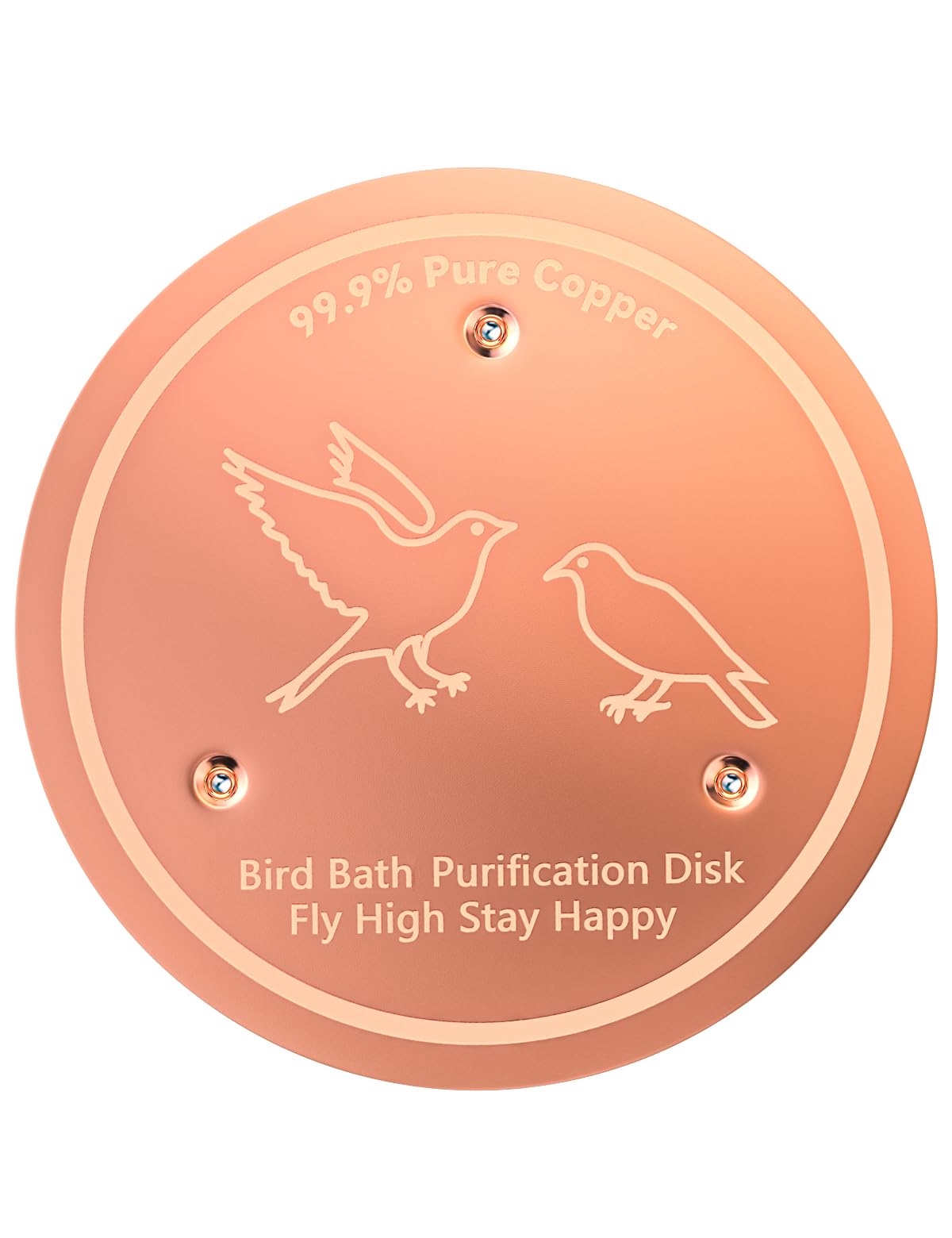 CNARIO copper disk in a bird bath for natural water clarity.