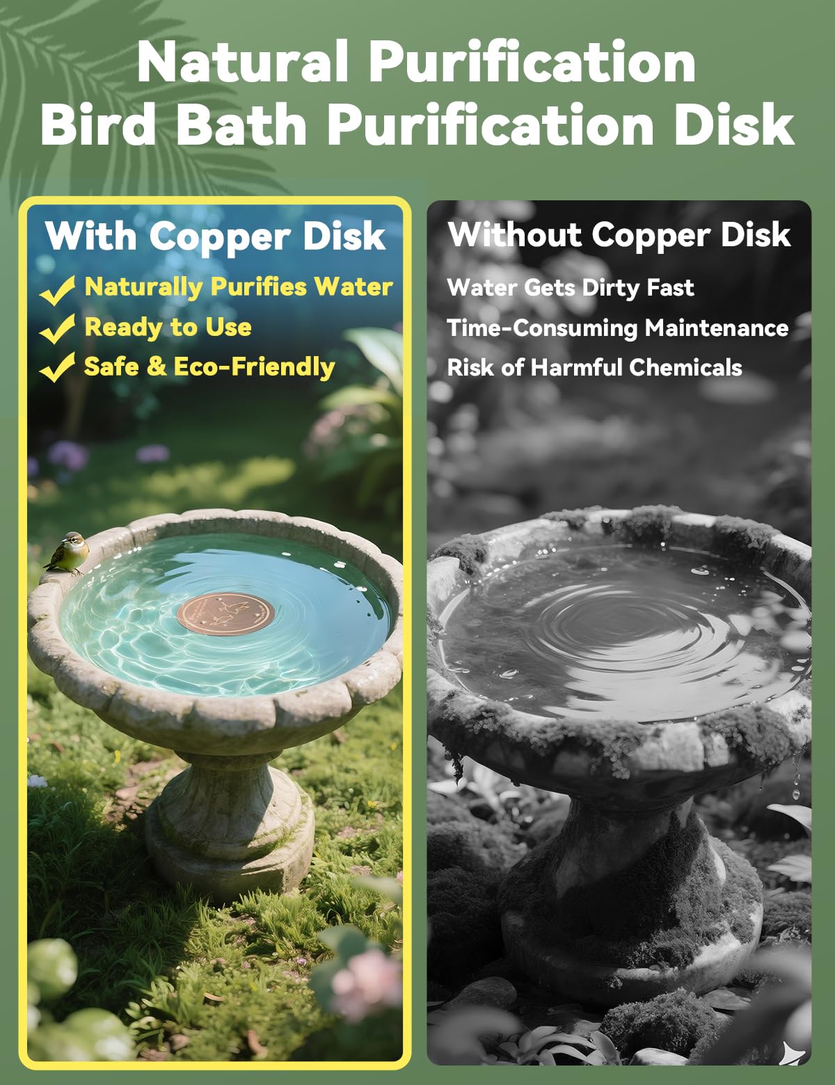 CNARIO copper disk demonstrates water purification action in a bath.