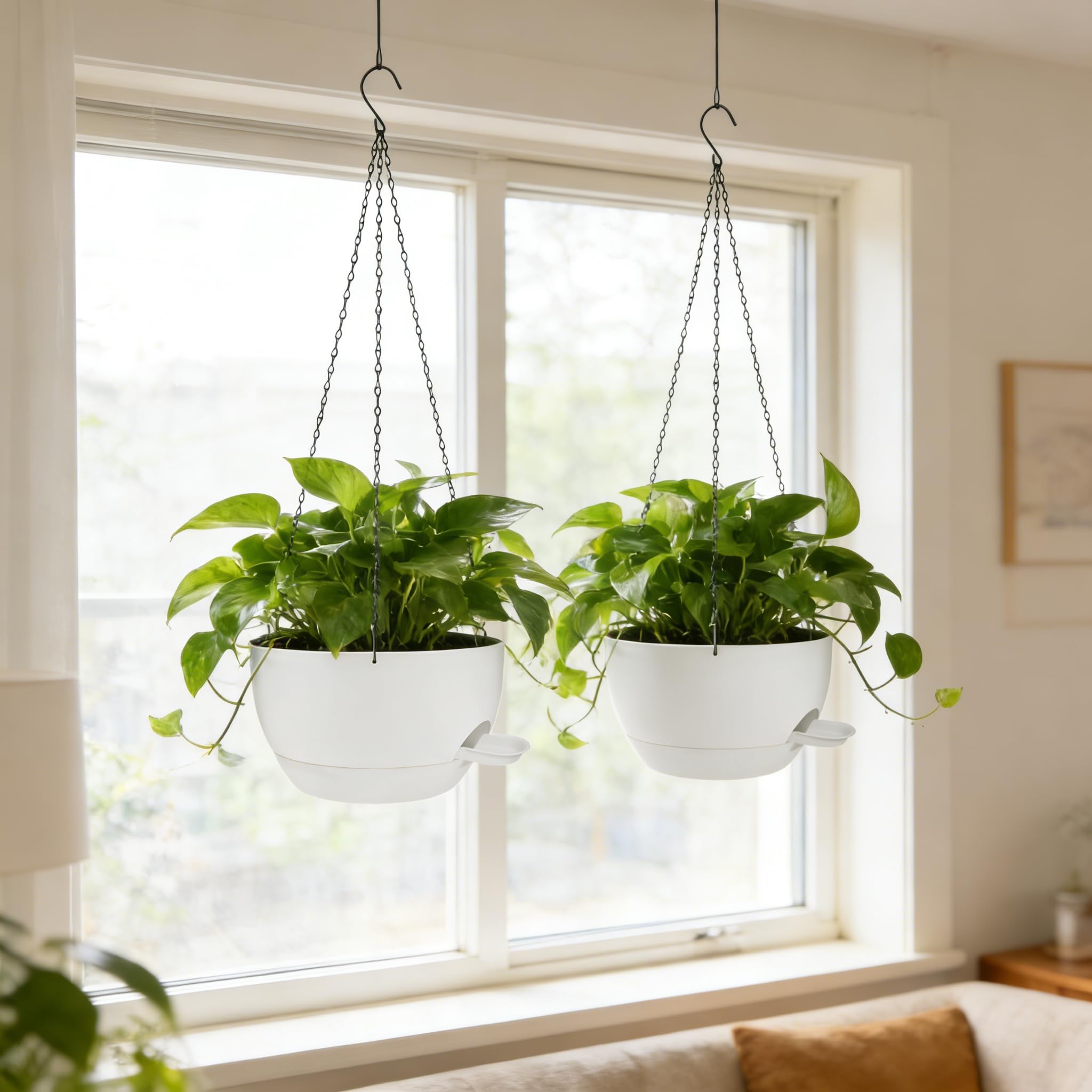 CNLBO ideal gift for garden lovers and plant enthusiasts everywhere.