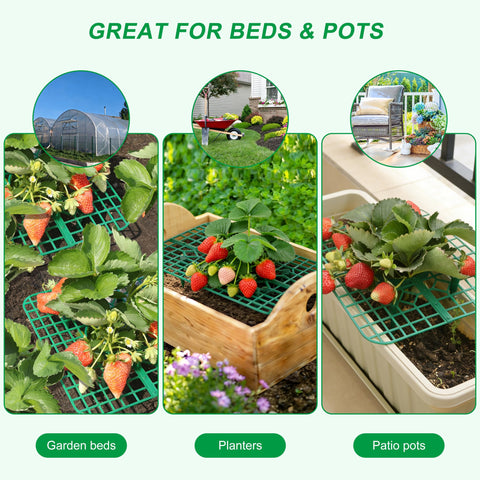 CNNIK reusable design supports multiple seasons of strawberry growing.