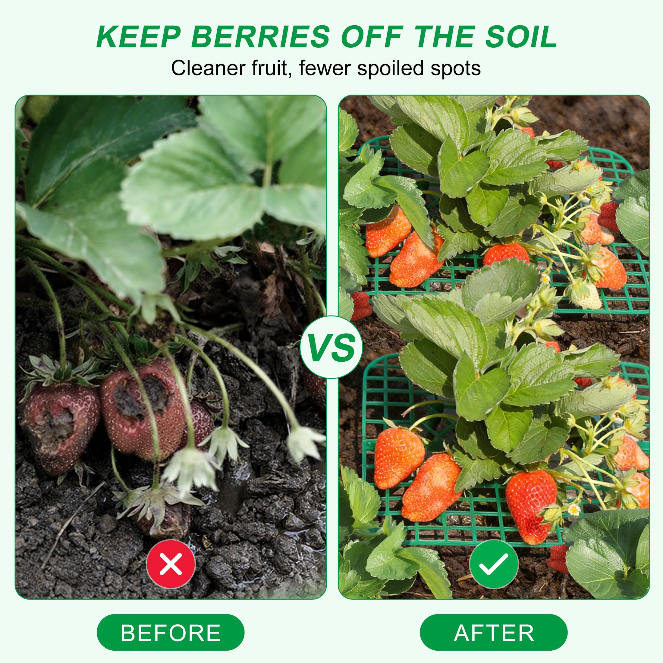 CNNIK raised strawberry holder fits beds and pots for tidy harvests.