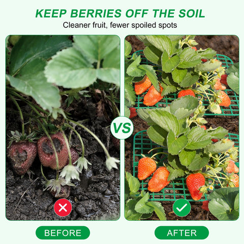 CNNIK raised strawberry holder fits beds and pots for tidy harvests.