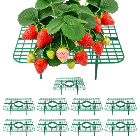 CNNIK strawberry support grid square ten-pack keeps berries clean and elevated.