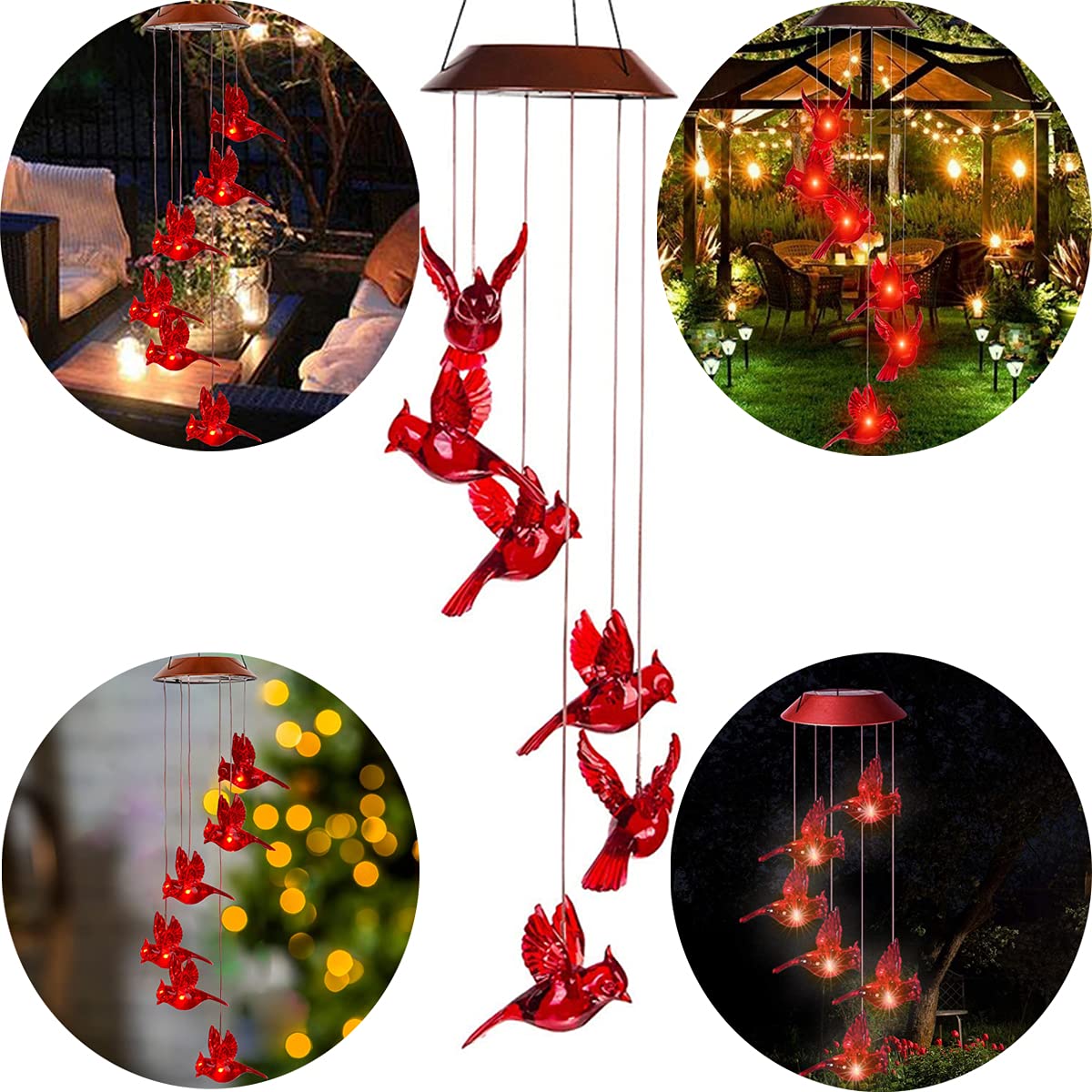 cnstorm Cardinal housewarming gift delivering color and light outdoors.