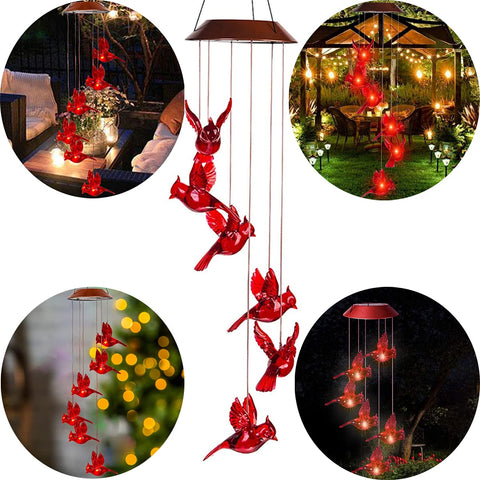 cnstorm Cardinal housewarming gift delivering color and light outdoors.