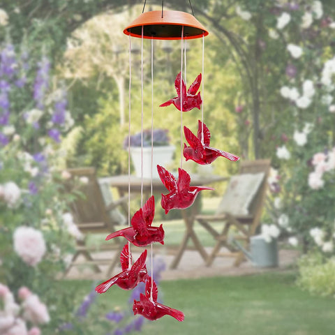 cnstorm Red Bird Light chimes brighten patios at night with gentle sound.