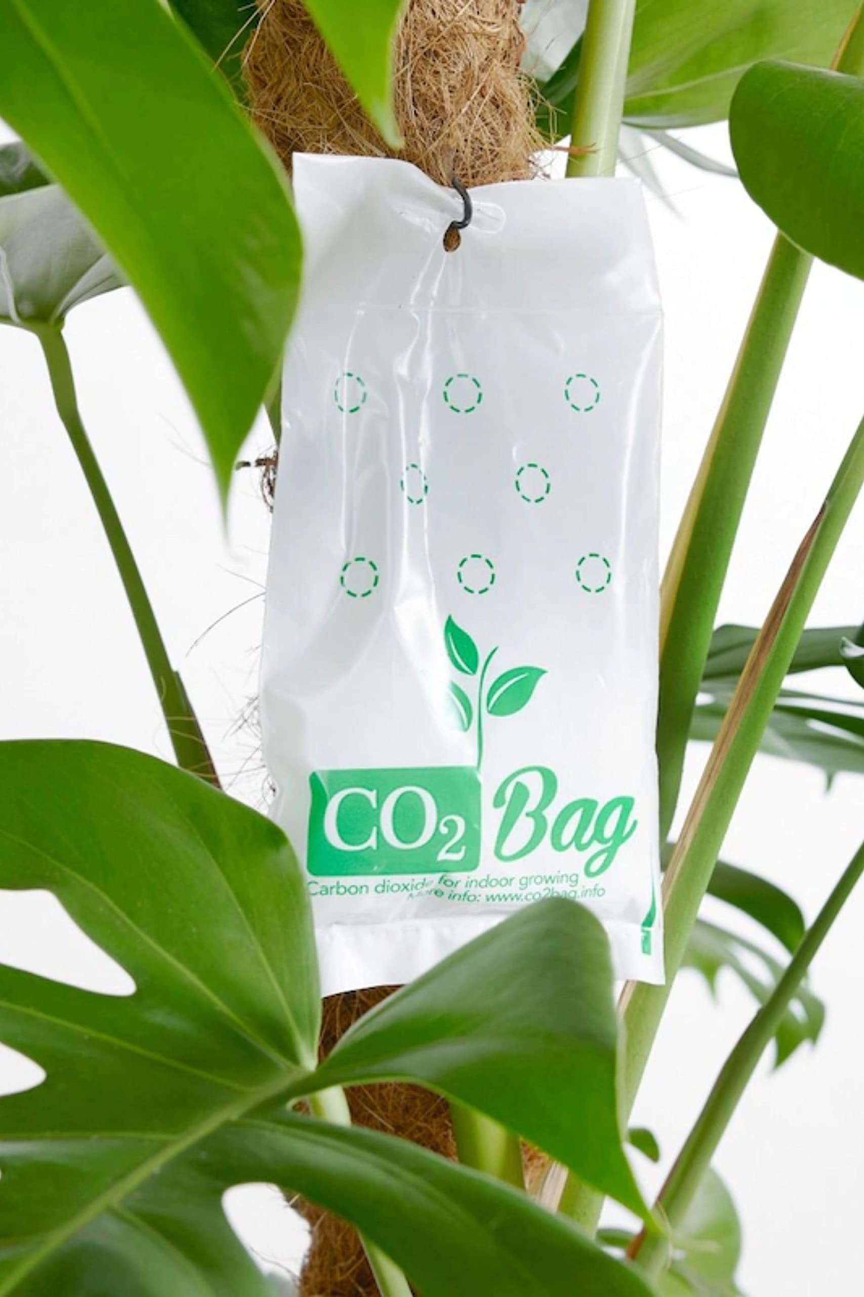 CO2BAG M supports earlier fruit ripening and fuller harvests