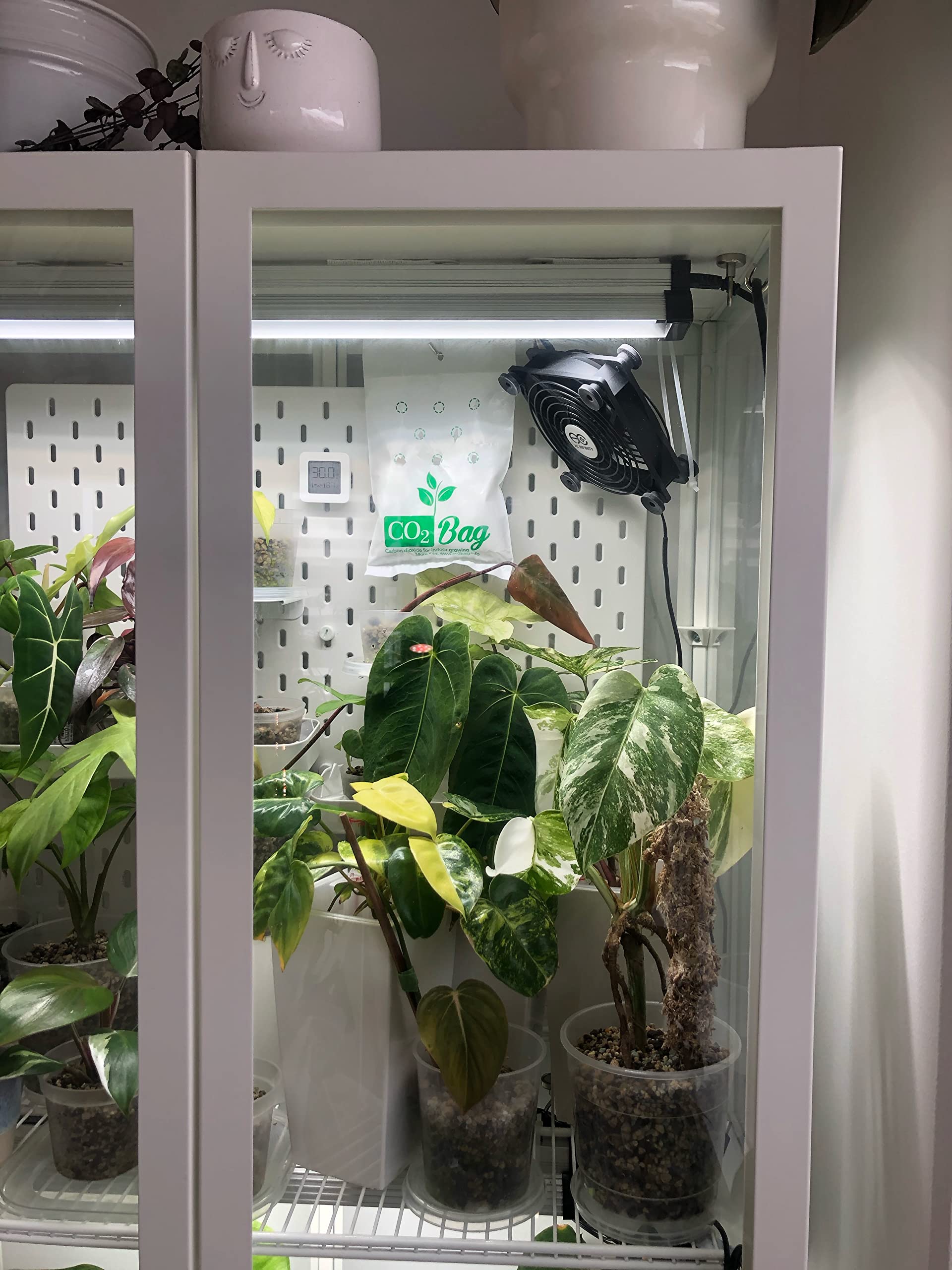 CO2BAG M hanging above plants demonstrates CO2 delivery for growth