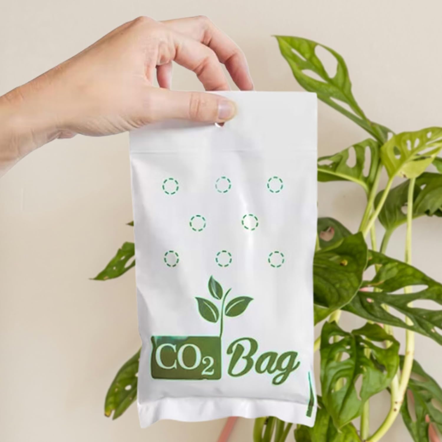 CO2BAG M in indoor grow room with leafy greens