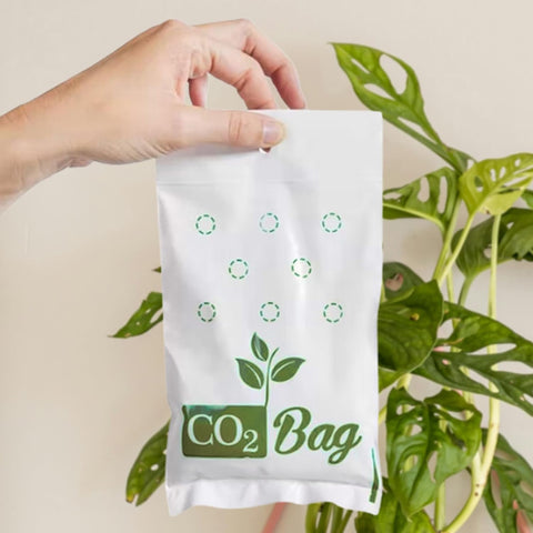 CO2BAG M in indoor grow room with leafy greens