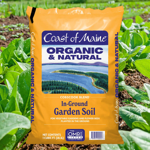Texture close-up of Coast of Maine Cobscook Blend in-ground soil, highlighting nutrient-rich components.