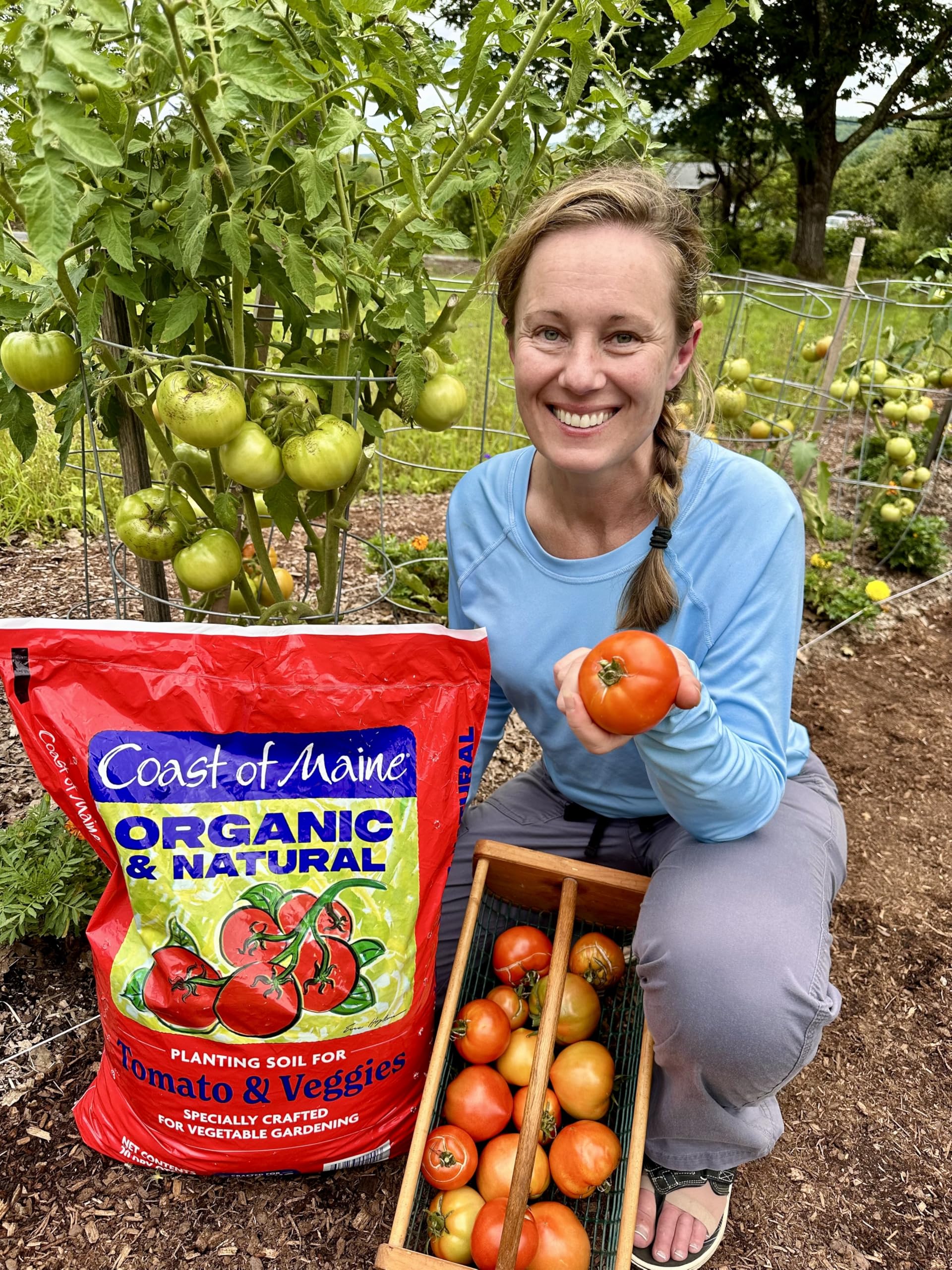 Coast of Maine peat-based soil mix promotes drainage and robust root development for vegetables.