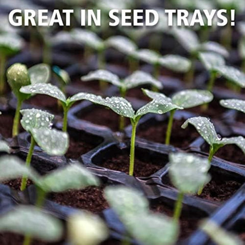 Coast of Maine Sprout Island Blend seed tray germination supports even roots.