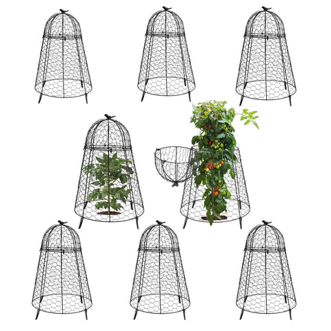 COATTOA plant protector cloche top view shields seedlings from animals and sun