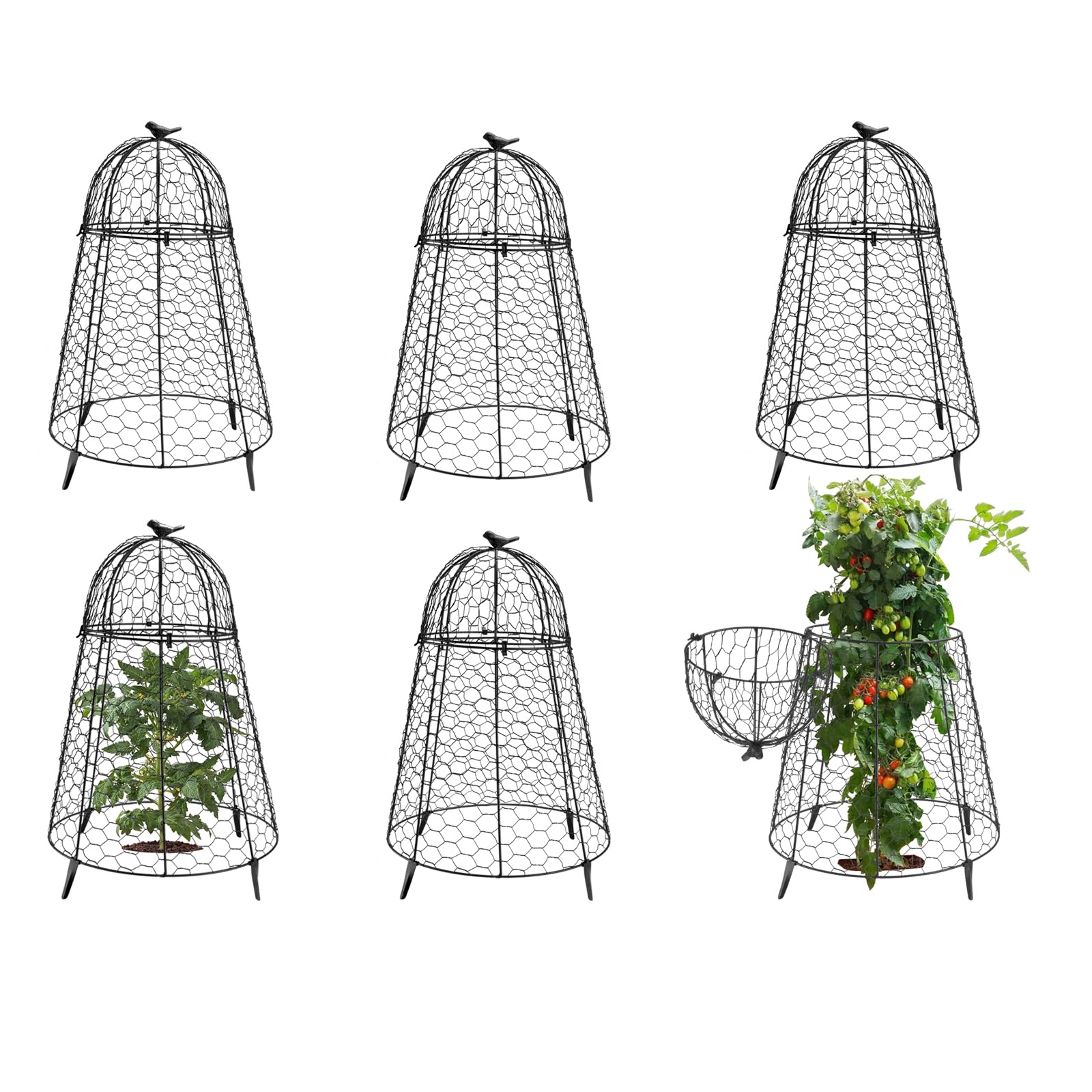 COATTOA plant protector dome top-handle shields seedlings and makes removal easy.