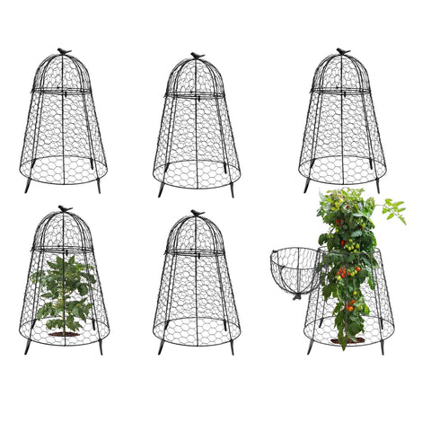 COATTOA plant protector dome top-handle shields seedlings and makes removal easy.