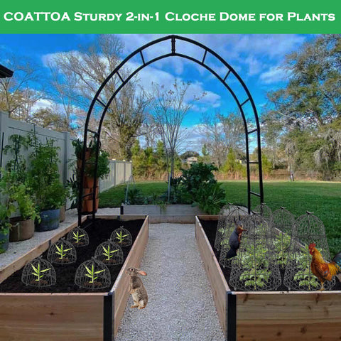 COATTOA plant protector exclusive clips secure two-piece cloche for durability.