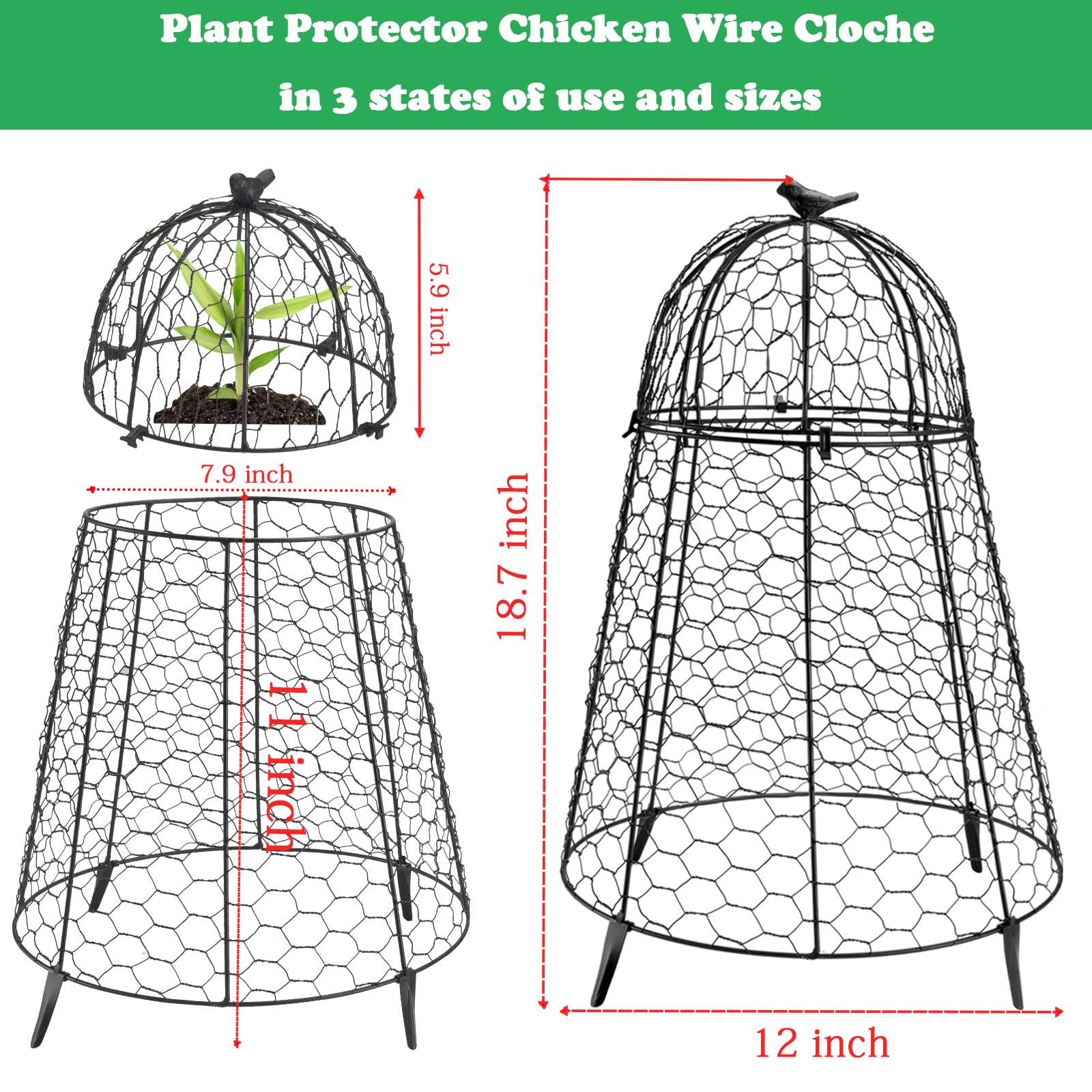 COATTOA plant protector four ground spikes anchor the cloche in soil.