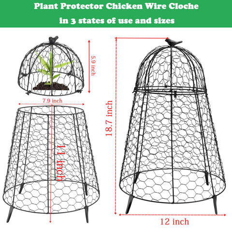 COATTOA plant protector four ground spikes anchor the cloche in soil.