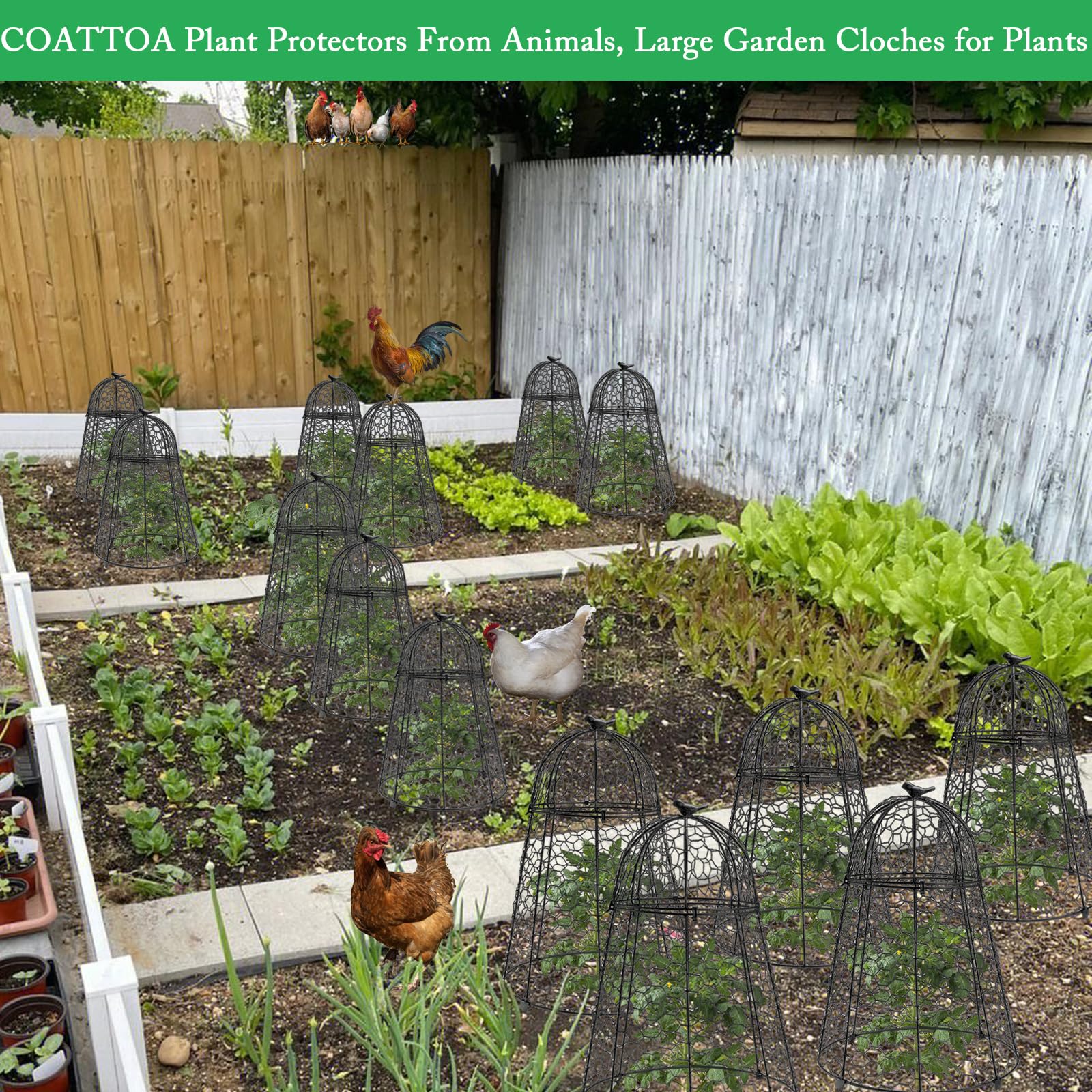 COATTOA plant protector rustproof PVC coating withstands indoor and outdoor use.