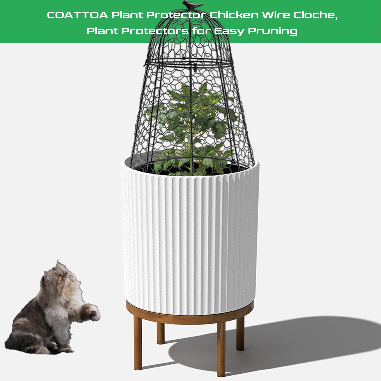 COATTOA plant protector two-in-one design supports pruning and fruiting access.