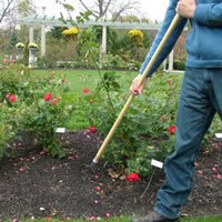CobraHead long handle weeder ergonomic handle highlights comfort during extended gardening sessions