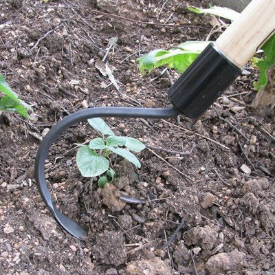CobraHead long handle weeder made in USA emphasizes quality craftsmanship you can trust
