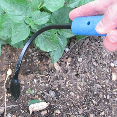CobraHead Original Weeder used for between-row weeding in garden beds