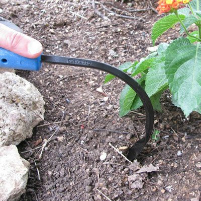 CobraHead Original Weeder edging along garden borders for clean lines