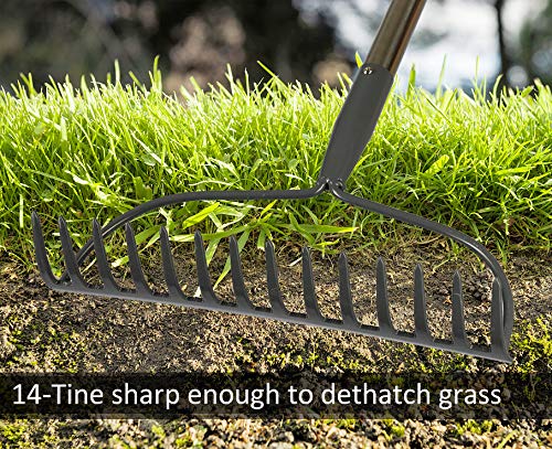 COCONUT 14-tine head dethatching shows debris removal without root damage.