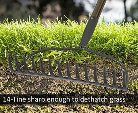 COCONUT 14-tine head dethatching shows debris removal without root damage.