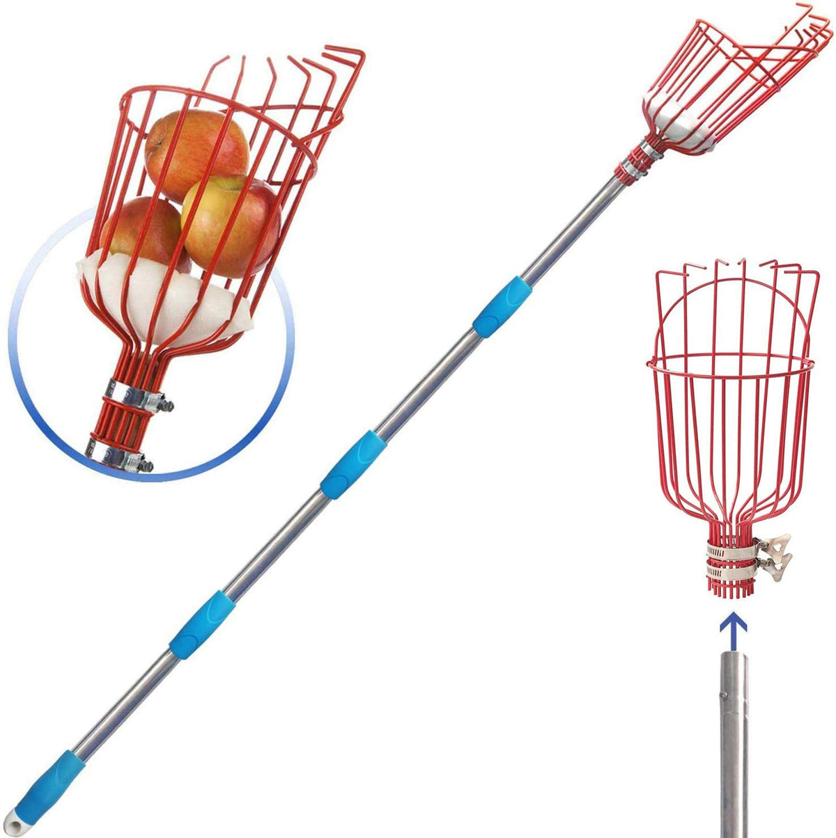 COCONUT fruit picker basket attaches to a telescoping pole for easy harvest.