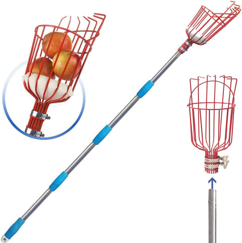 COCONUT fruit picker basket attaches to a telescoping pole for easy harvest.