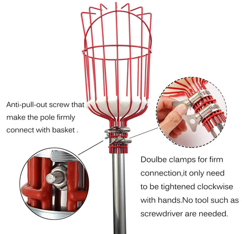 COCONUT fruit picker foam pad protects fragile fruits during harvesting.