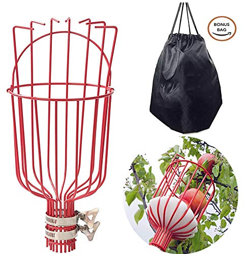COCONUT stainless steel pole demonstrates durability for repeated fruit picking.