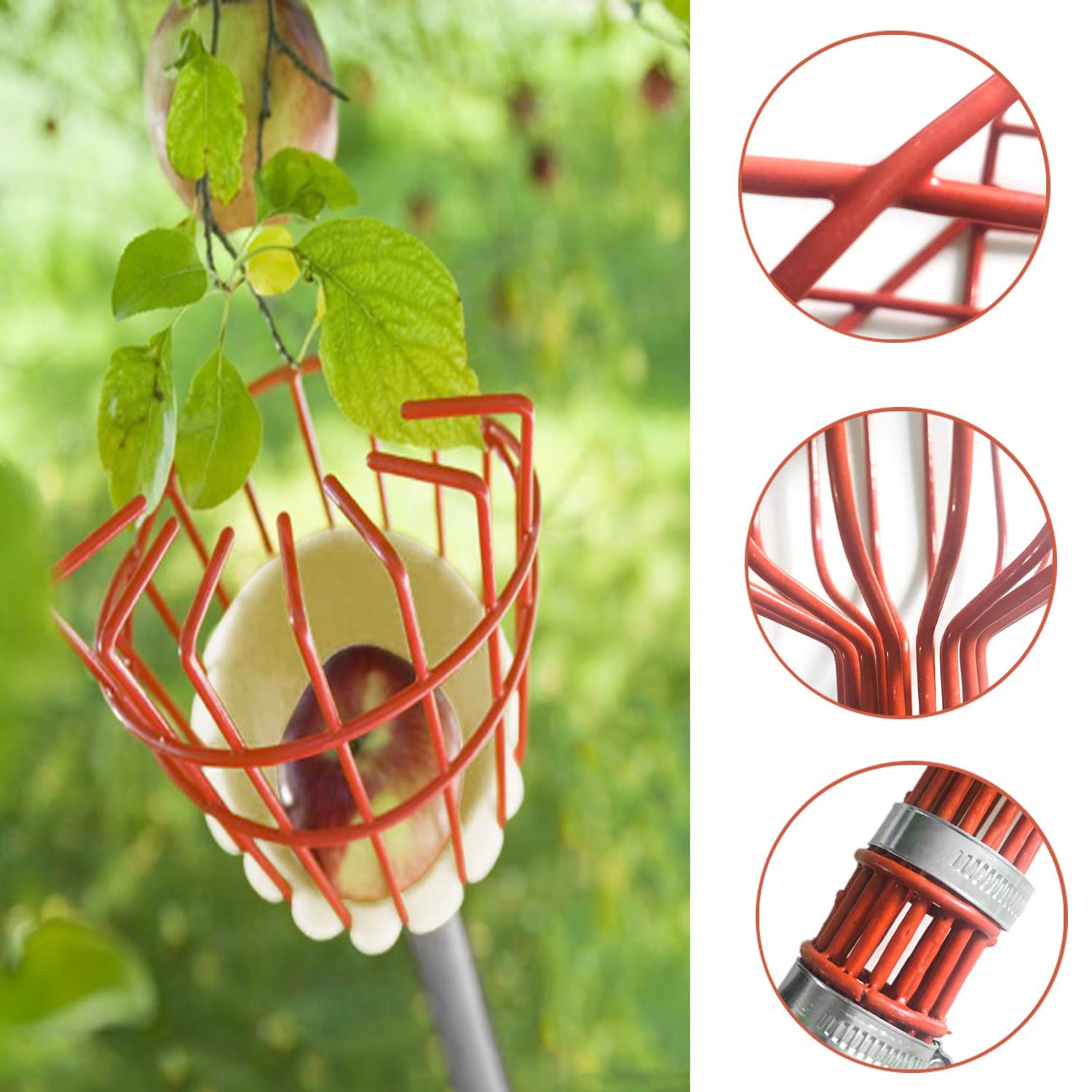 COCONUT picker clamps securely attach the basket to the pole for quick setup.